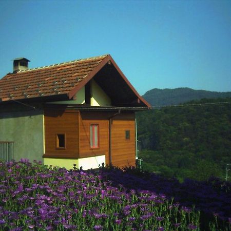 B&B Cip E Ciop Miazzina Exterior photo