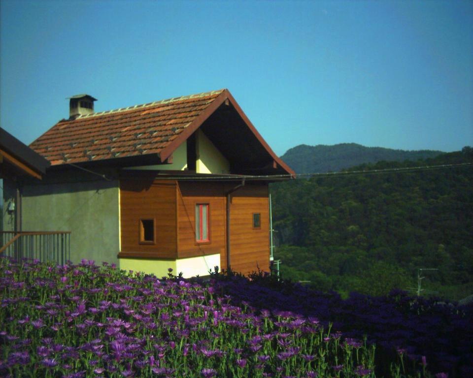 B&B Cip E Ciop Miazzina Exterior photo